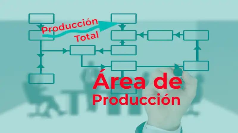 Área de Producción en la Gestión Empresarial: Organización y Eficiencia