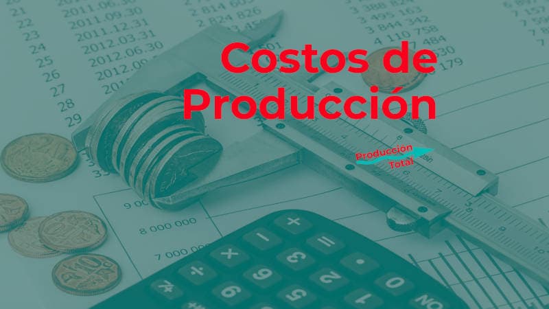 Costos de producción: ejemplos, tipos y elementos.