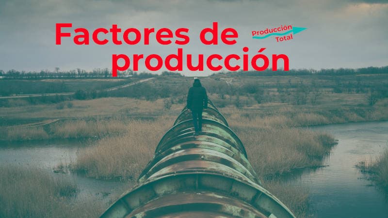 Factores de producción: ¿Qué son? ¿Cuáles son? Y sus principales características.