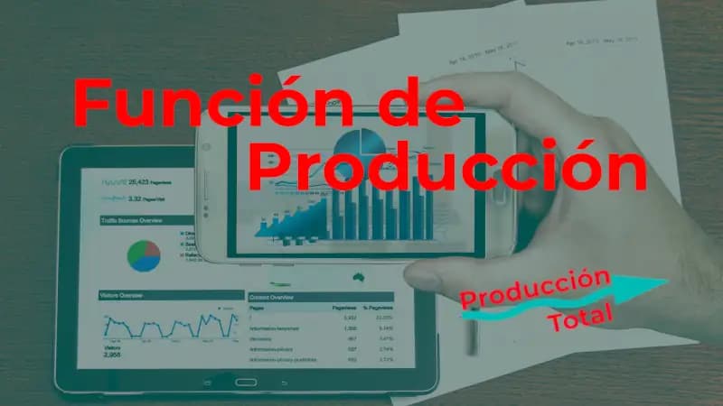 La función de producción: concepto, características y su importancia en la economía.